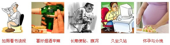 哪些生活习惯会诱发外痔？